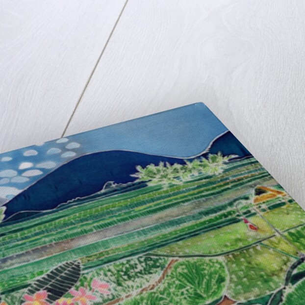 Lovina Ricefields with Lilies and Frangipani, Bali, 1996 by Hilary Simon