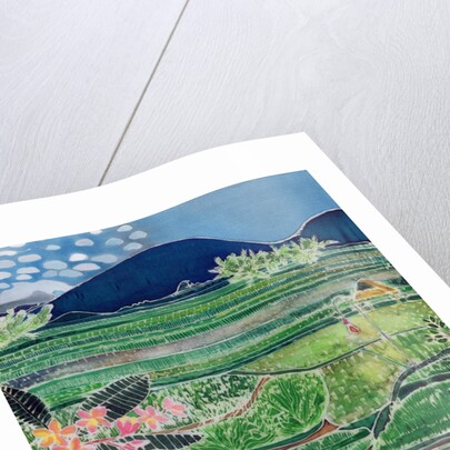 Lovina Ricefields with Lilies and Frangipani, Bali, 1996 by Hilary Simon