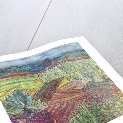 Oaxaca Landscape by Hilary Simon