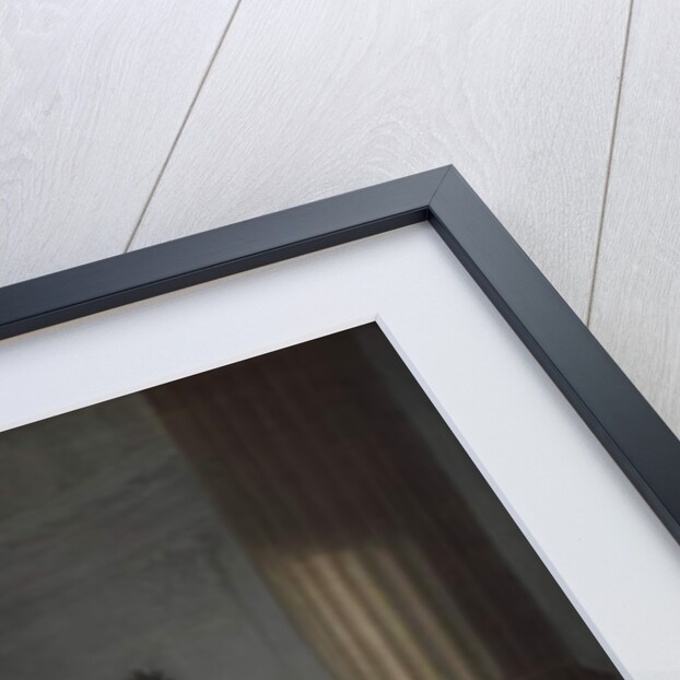 Charlotte, Consort of George III by Allan Ramsay