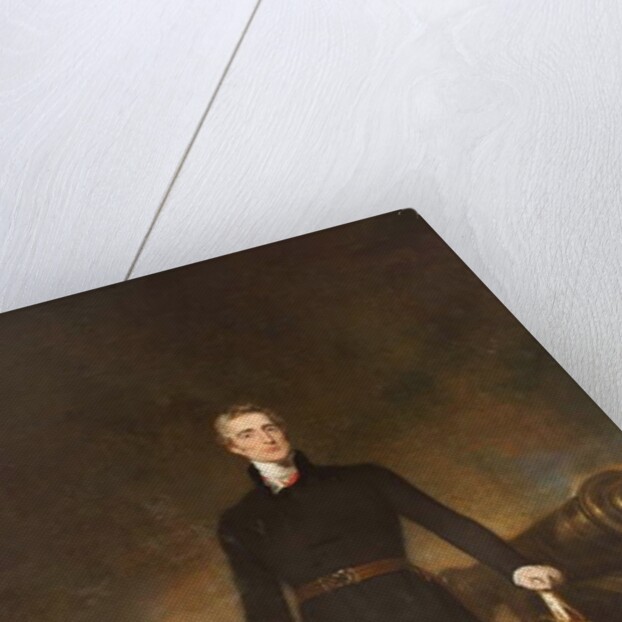 The Duke of Wellington by John Simpson