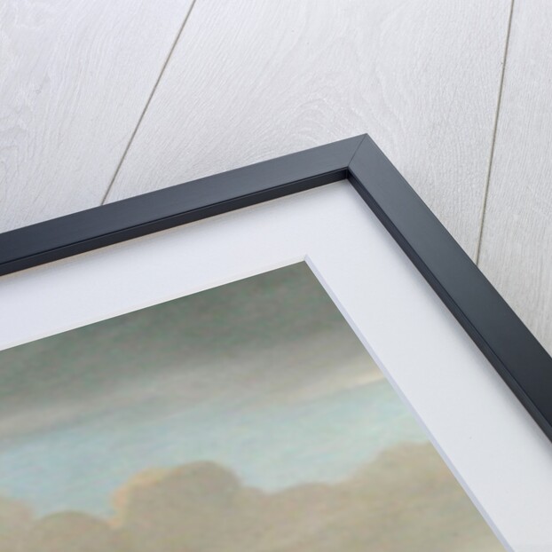 The Royal Hospital, Chelsea, 1717 by Dirk Maes