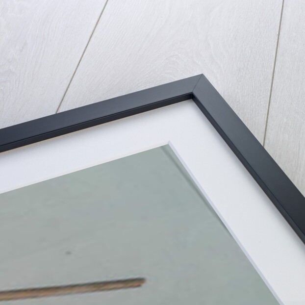 Drawing of the Standard of the King of Kandy, 1853 by Anonymous