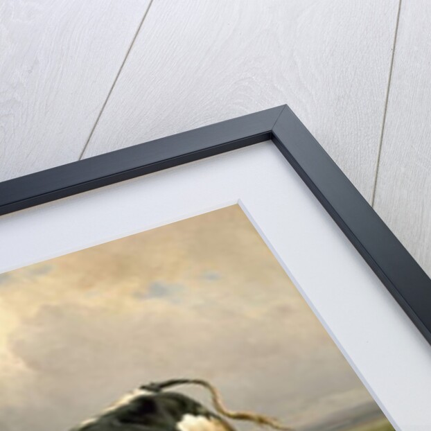 A Bull Fight, 1855 by Jacques Raymond Brascassat