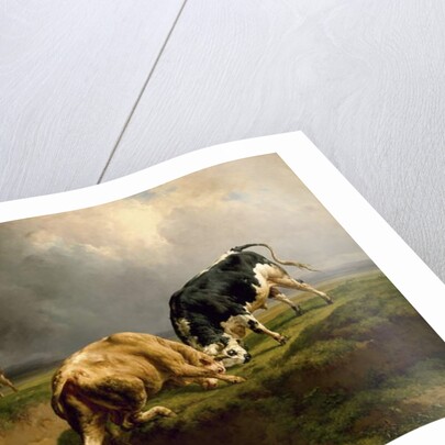 A Bull Fight, 1855 by Jacques Raymond Brascassat