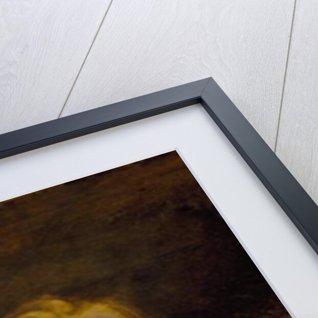 Head of a Monk by Anthony van Dyck