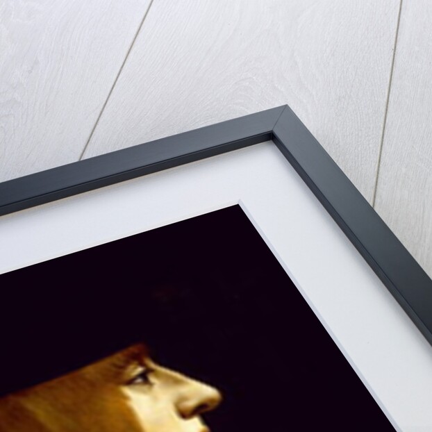 Portrait of a Young Man, c.1500 by Giovanni Ambrogio de (attr. to) Predis