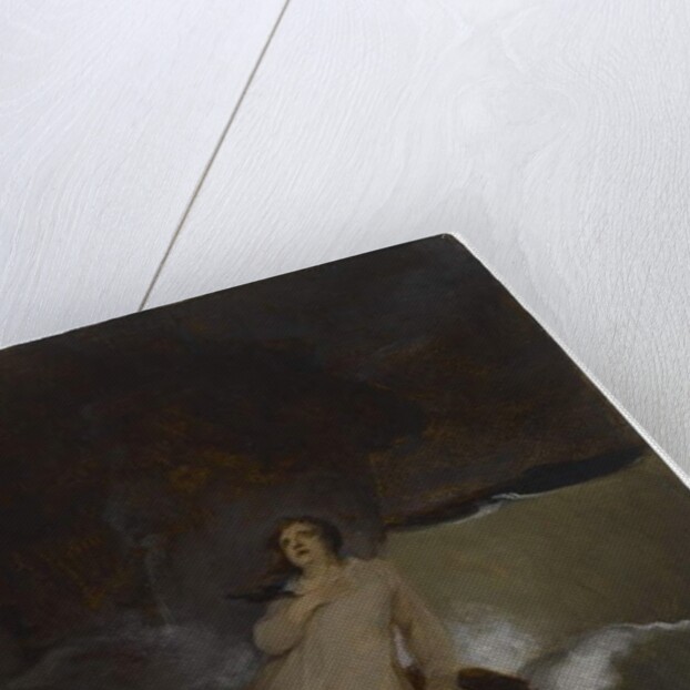 The Shipwreck of Robinson Crusoe, c.1856 by Thomas Sully