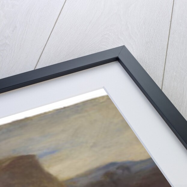 Visit to the Wreck, c.1856 by Thomas Sully