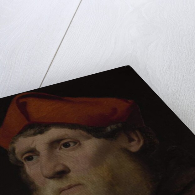 Portrait of a Bearded Prelate, c.1520-40 by Italian School