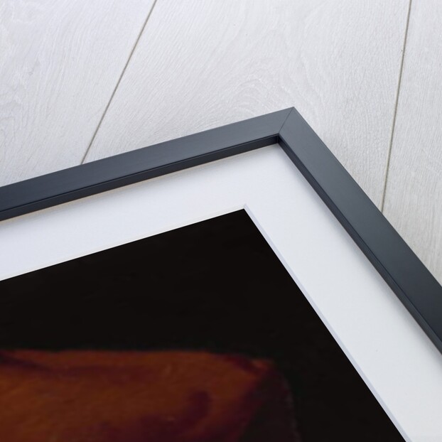 Portrait of a Bearded Prelate, c.1520-40 by Italian School