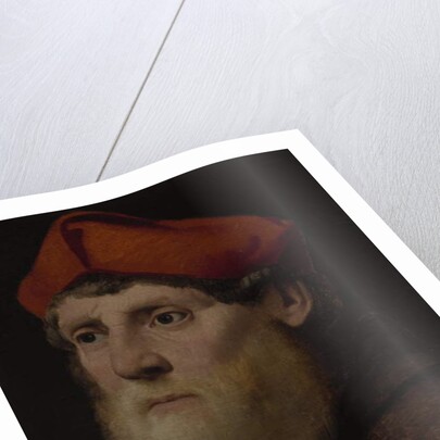 Portrait of a Bearded Prelate, c.1520-40 by Italian School