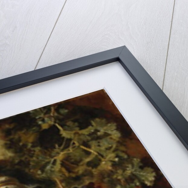 Still Life with Melons, Peaches, Figs, and Grapes, c. 1640-1650 by Michele Pace del Campidoglio