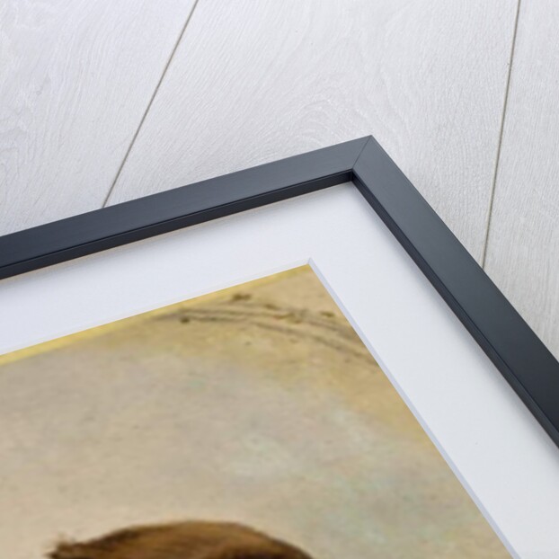 Portrait of William Brand, c. 1862 by John George Brown