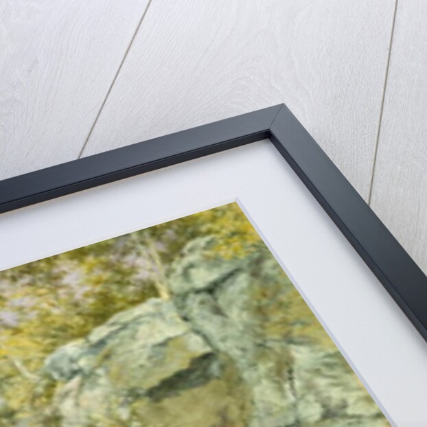 Fawn's Leap, Catskill Mountains, 1867 by John William Hill