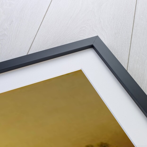 Marsh Sunset, Newburyport, Massachusetts, c. 1876-1882 by Martin Johnson Heade