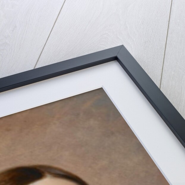 Portrait of Julia Ann Seabury, 1846 by William Sidney Mount