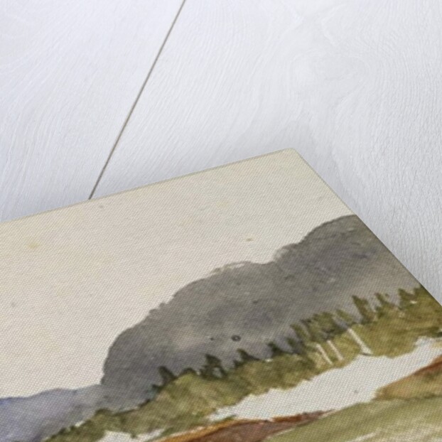 Western Lake View, 1869-71 by Vincent Colyer