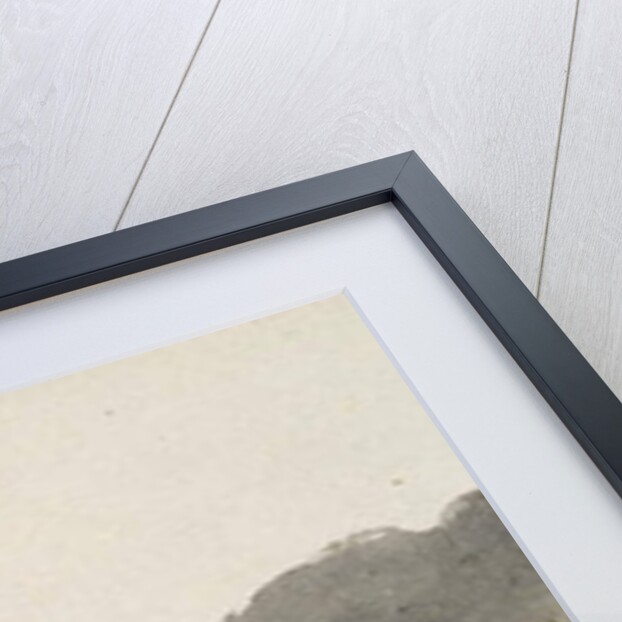 Western Lake View, 1869-71 by Vincent Colyer