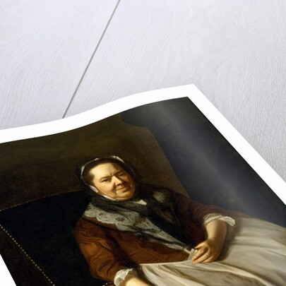 Portrait of Mrs Paul Richard, nee Elizabeth Garland 1771 by John Singleton Copley