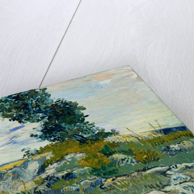 The Rocks, 1888 by Vincent van Gogh