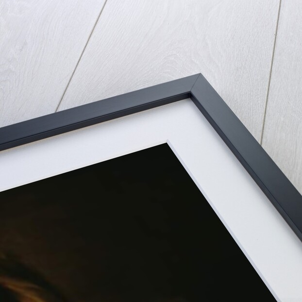 The Virgin of the Annunciation, 1670-80 by Bartolome Esteban Murillo