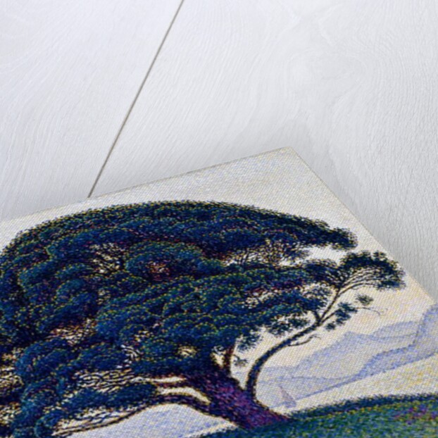 The Bonaventure Pine, 1893 by Paul Signac