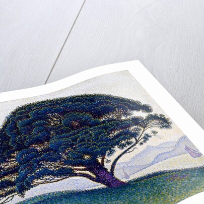 The Bonaventure Pine, 1893 by Paul Signac