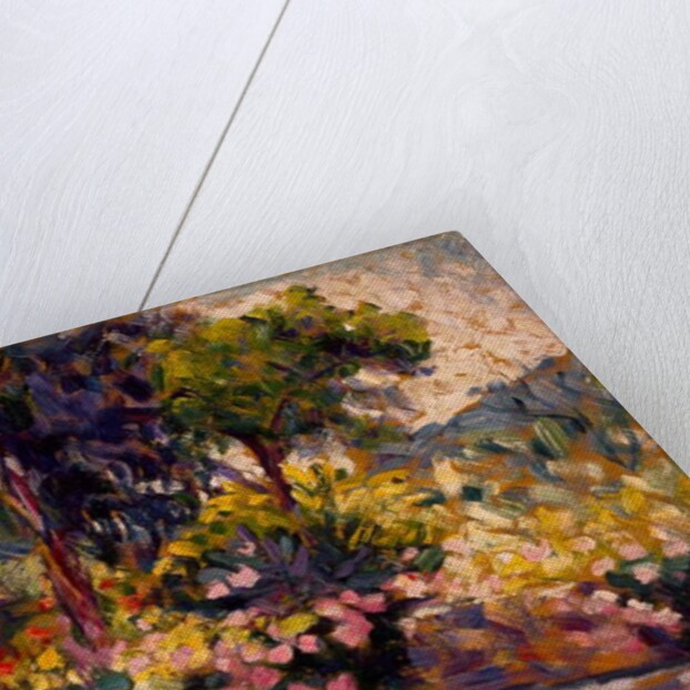 The Flowered Terrace, 1905 by Henri-Edmond Cross