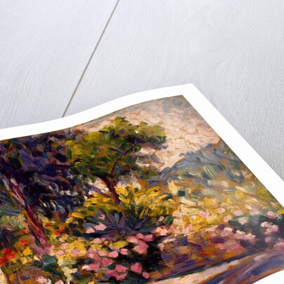 The Flowered Terrace, 1905 by Henri-Edmond Cross