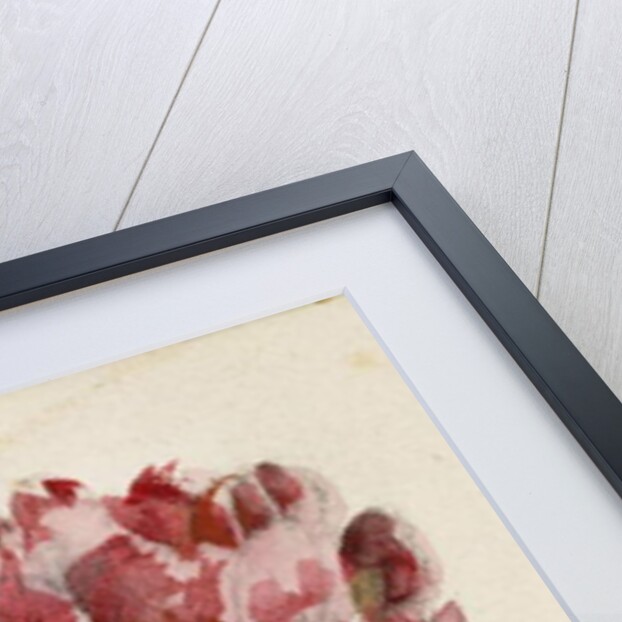 Crimson Cactus Bud of New Mexico, 1869 by Vincent Colyer