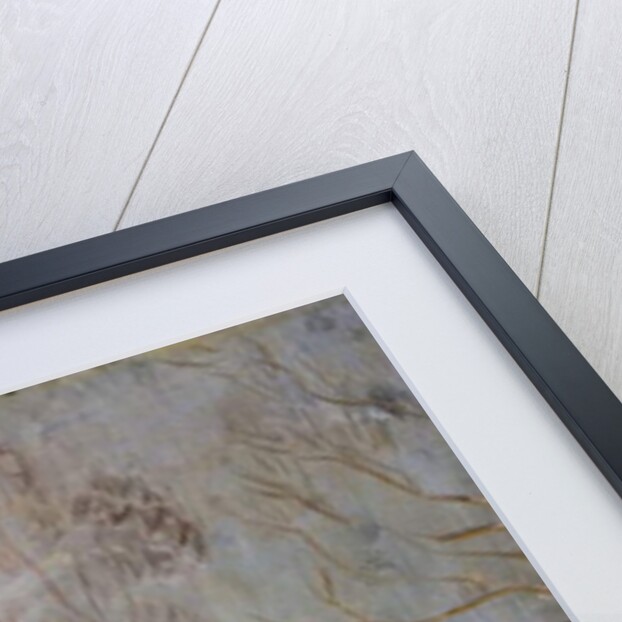 Park Street at Boston Commons, c.1910-20 by Arthur Clifton Goodwin