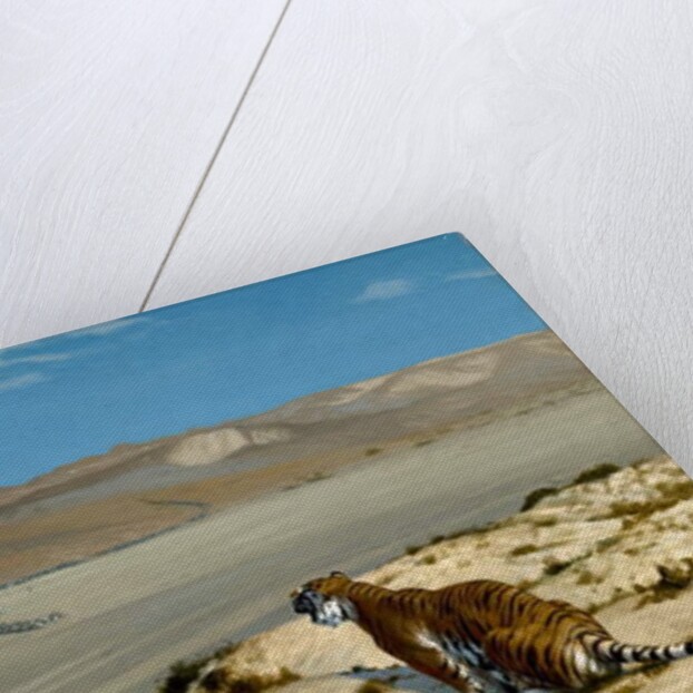 Tiger on the Watch, c.1888 by Jean Leon Gerome