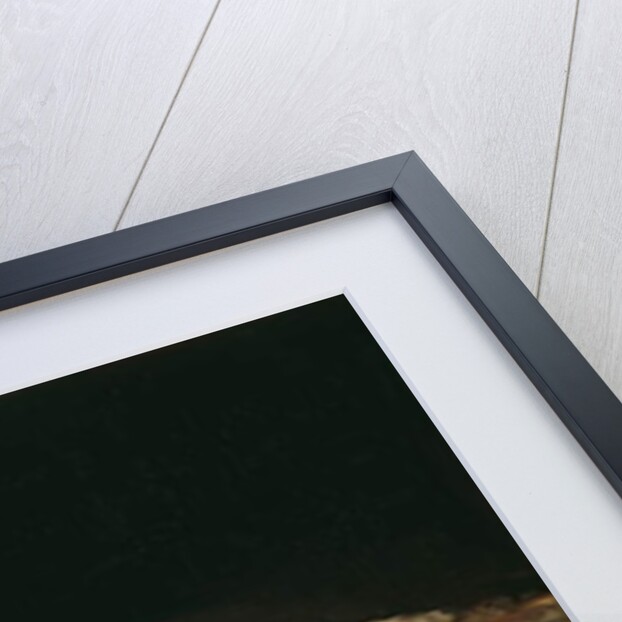 Still Life with Golden Bream, 1808-12 by Francisco Jose de Goya y Lucientes