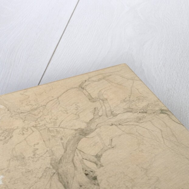 Young Man in Front of a Great Oak, c.1840 by Jean Baptiste Camille Corot