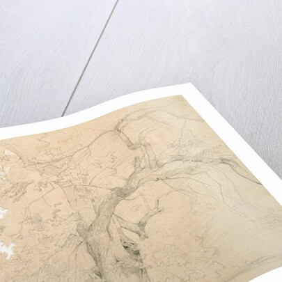 Young Man in Front of a Great Oak, c.1840 by Jean Baptiste Camille Corot