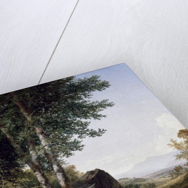 A View of Mansfield Mountain, 1849 by John Frederick Kensett