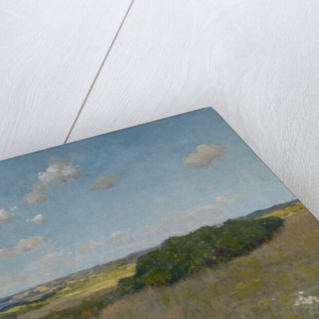 Sunlight and Shadow, Shinnecock Hills, c.1895 by William Merritt Chase