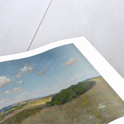 Sunlight and Shadow, Shinnecock Hills, c.1895 by William Merritt Chase