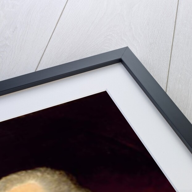 Portrait of John Vaughan, c.1795 by Gilbert Stuart