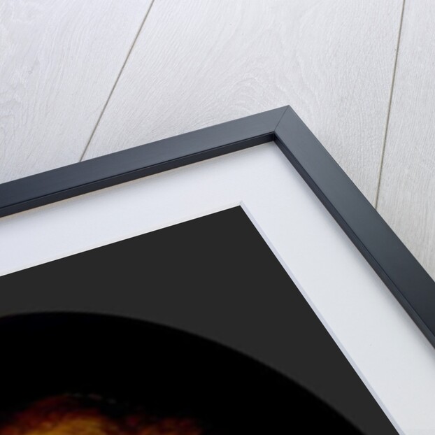 Portrait of a Young Woman, 1633 by Rembrandt Harmensz. van Rijn