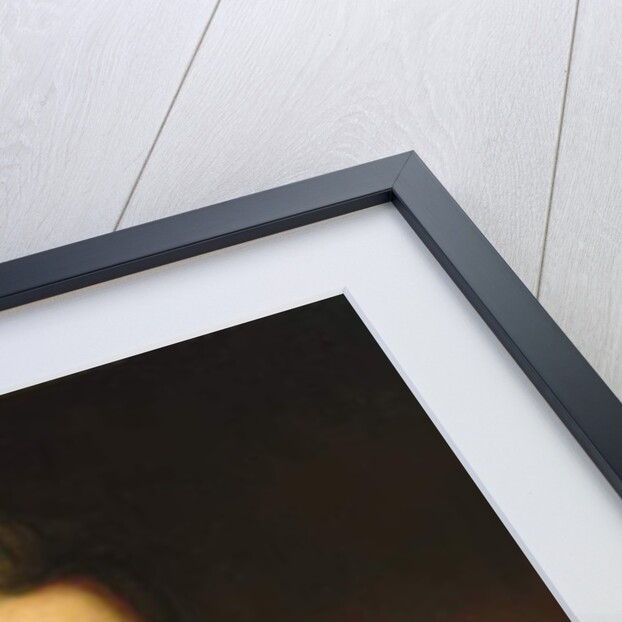 Portrait of Andrew Jackson, c. 1835 by Ralph Eleaser Whiteside Earl