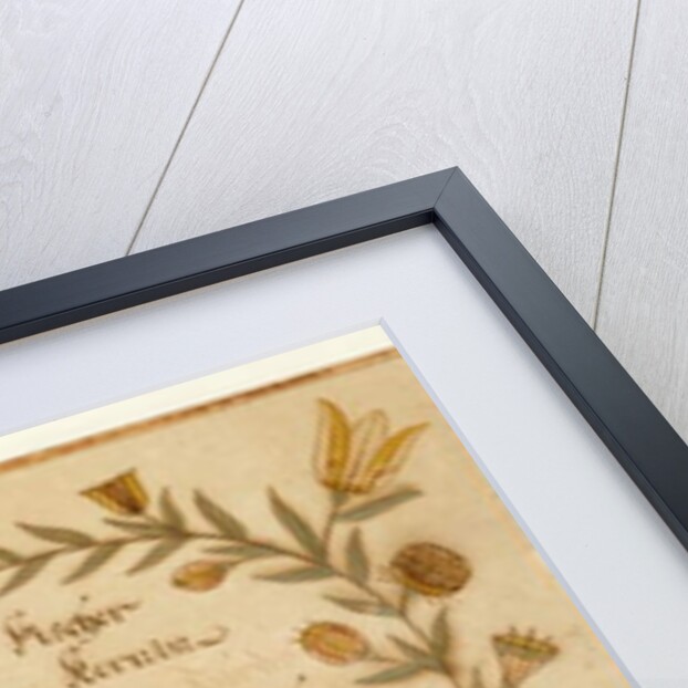 Birth and Baptismal Certificate by American School