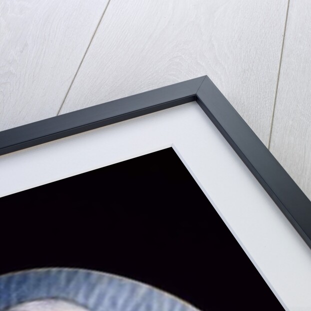 Miniature of William Cadogan Simes, c. 1810-1824 by American School