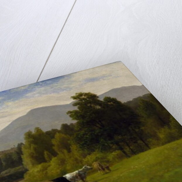 Pasture Lands, 1867 by George Snr. Inness