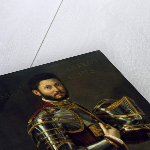 Portrait of a Man, 16th century by Italian School