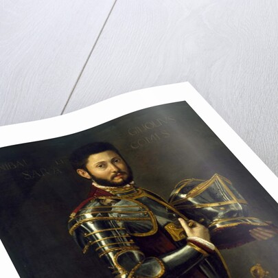 Portrait of a Man, 16th century by Italian School