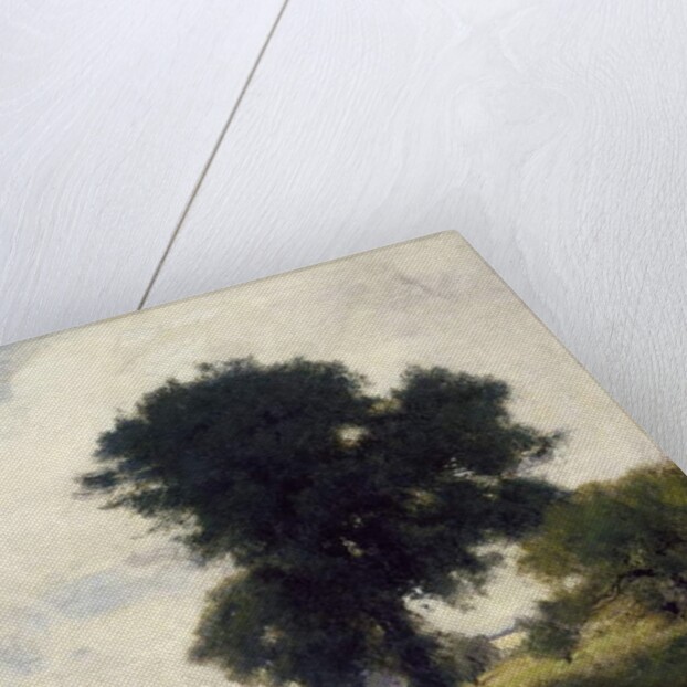 Cattle in Pool, 1880 by George Snr. Inness