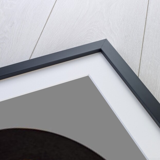 Portrait of a Man, 18th century by English School