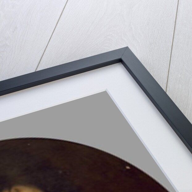 Portrait of a Gentleman, no date by Pierre Mignard